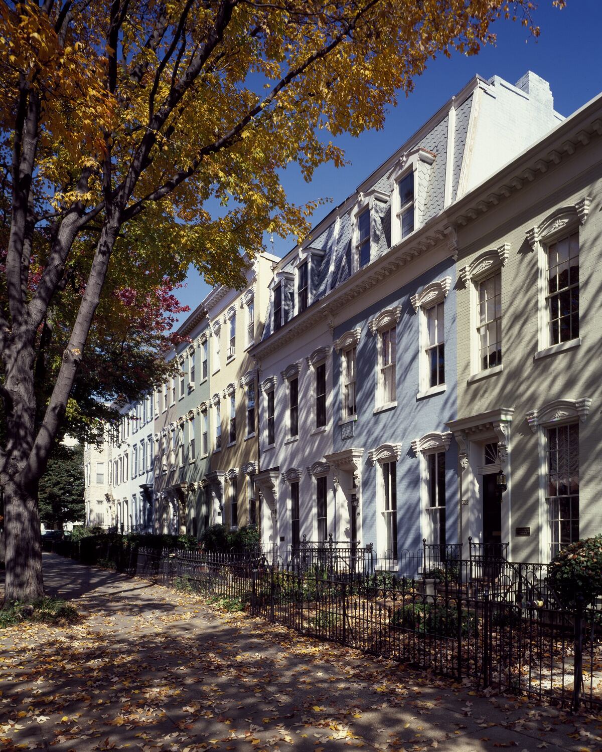 Painted townhouses and autumn trees on a street in Washington