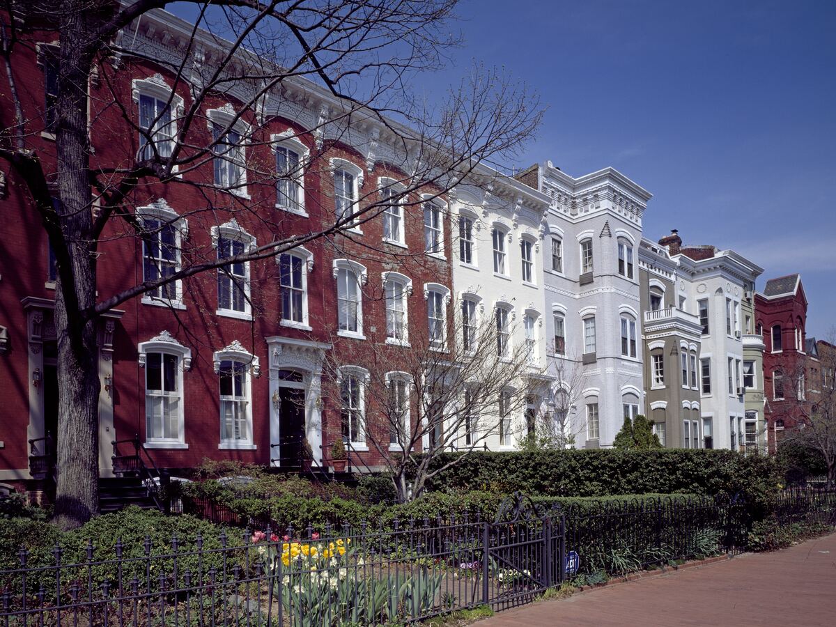 Brick townhouses and trees on a street in Washington